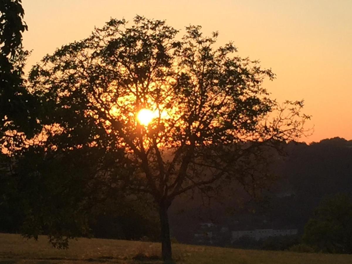 Domaine De Lascaux Bed & Breakfast Montignac-Lascaux Bagian luar foto
