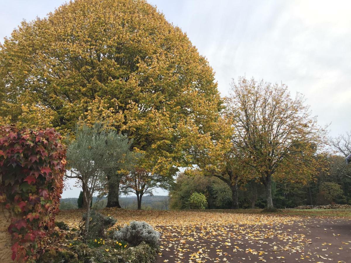 Domaine De Lascaux Bed & Breakfast Montignac-Lascaux Bagian luar foto