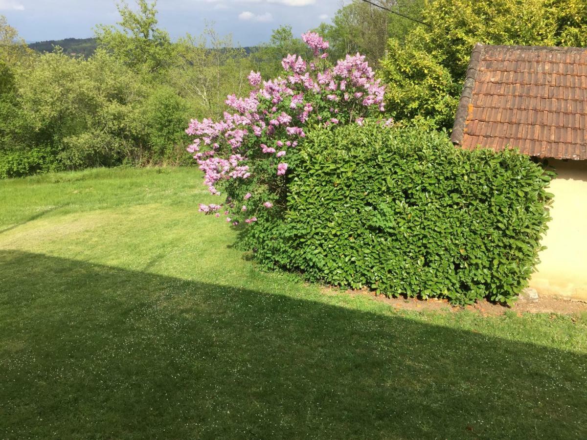 Domaine De Lascaux Bed & Breakfast Montignac-Lascaux Bagian luar foto